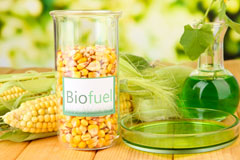 Gurnett biofuel availability